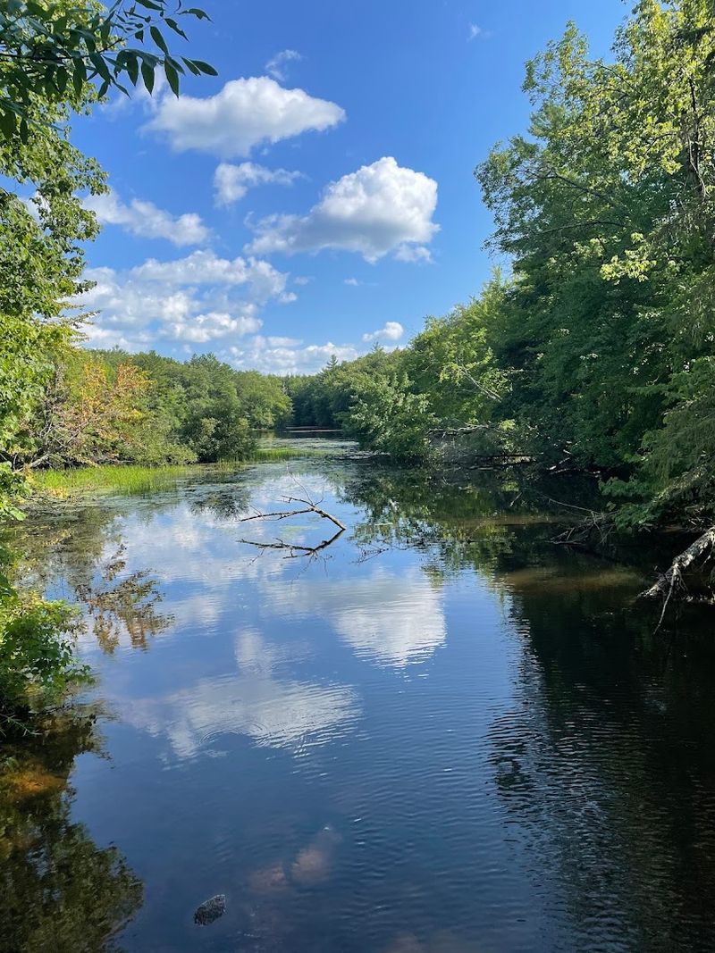 Fishing Spots Along The Chippewa And Fisher Rivers