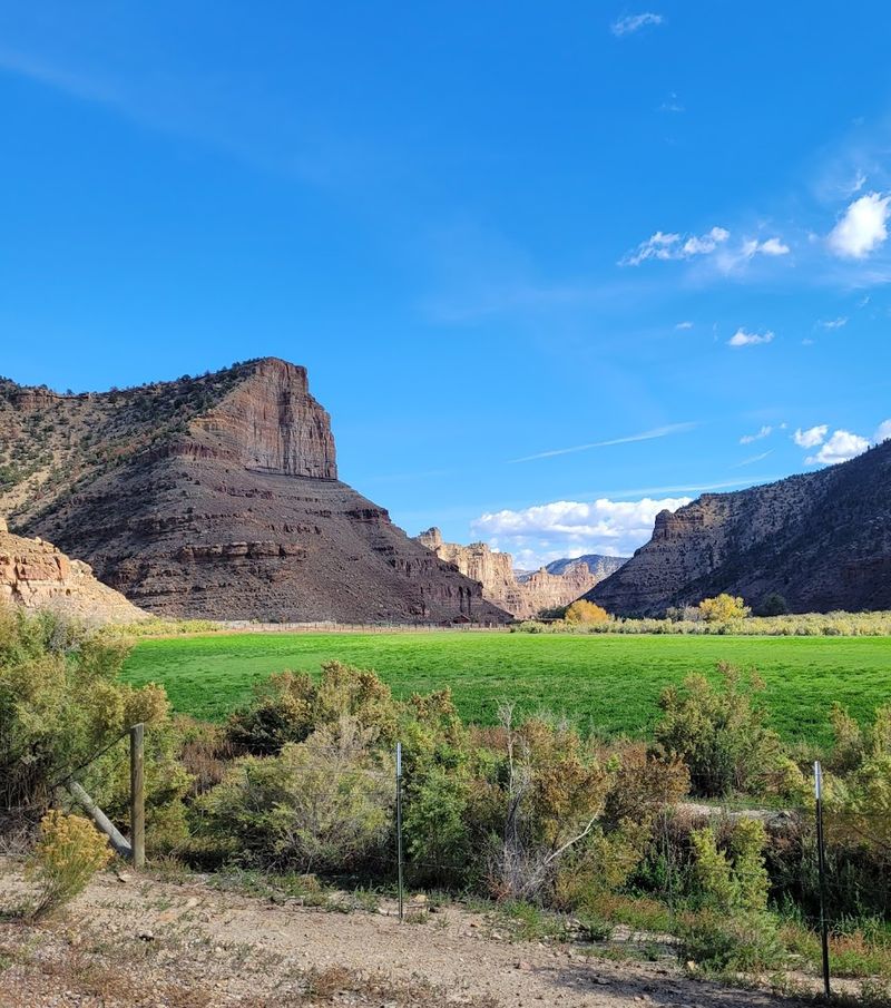 The Name Can Be Misleading About Its Size