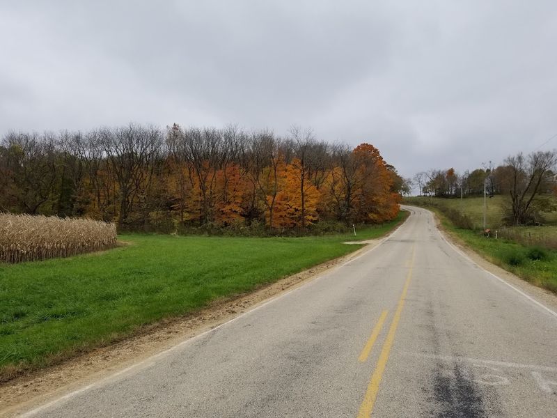 The Strange Optical Illusion Behind Gravity Hill