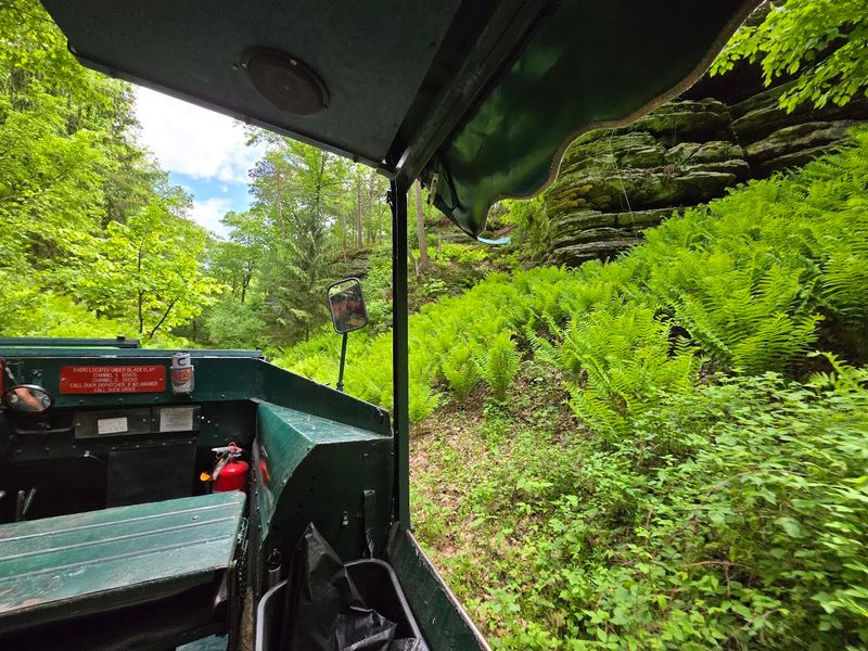 An Adventure That Begins With A Drive Through Forest Trails