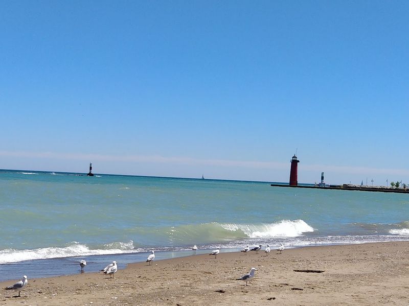 Soft Sand And Gentle Lake Waves