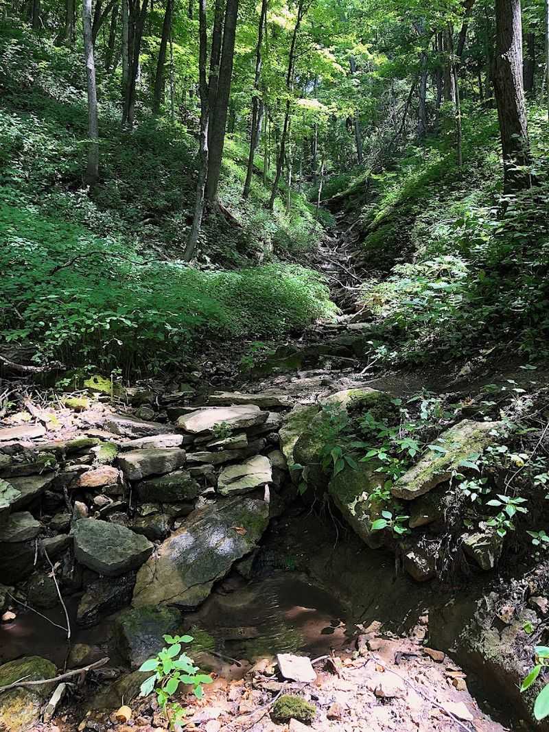The Trail Passes Through Quiet Forest And Shaded Ravines