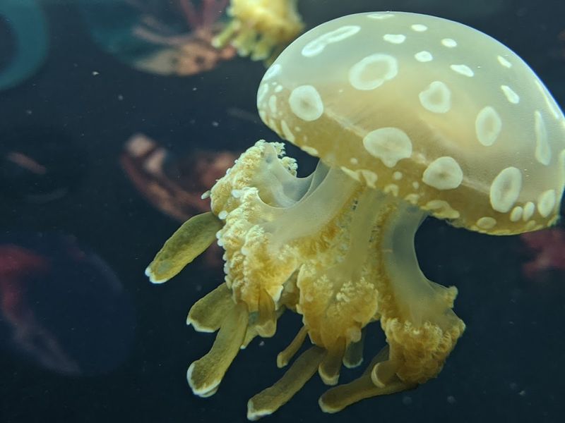 The Mission Running Through Every Exhibit