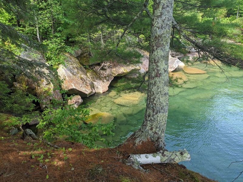 Seasonal Colours That Completely Transform The Landscape