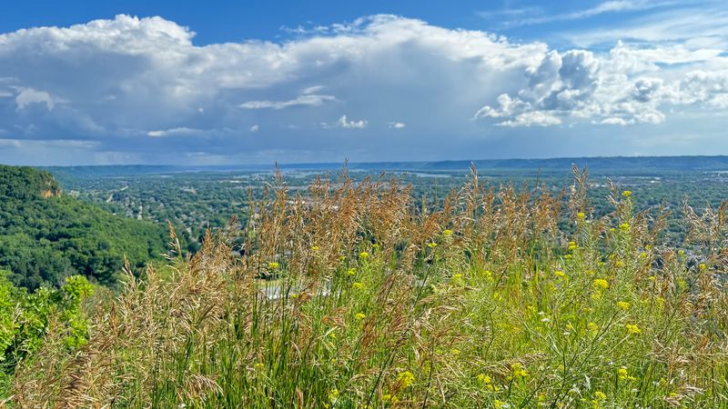 Spring Transforms The Valley Into A Sea Of Green