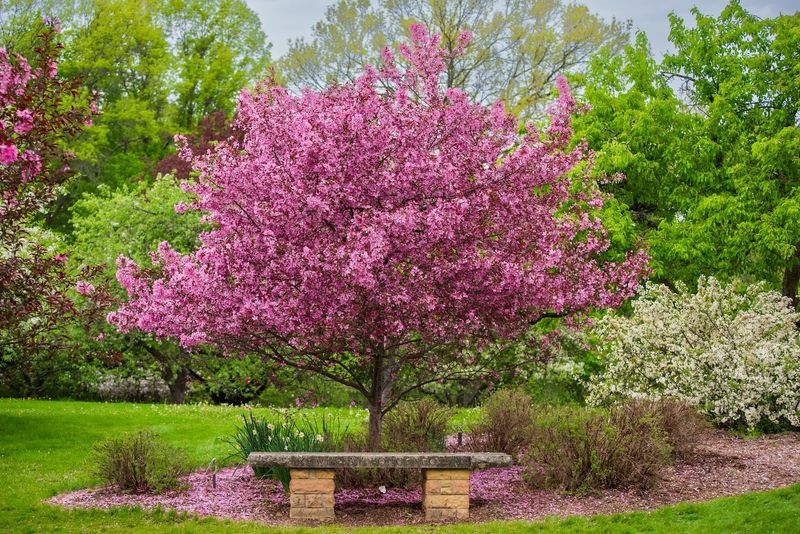 Free Access That Makes It Easy To Visit Anytime