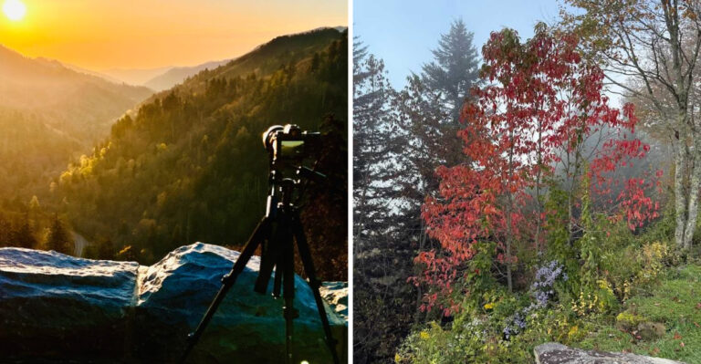 A Spring Trip To This Tennessee Overlook Will Leave You Amazed