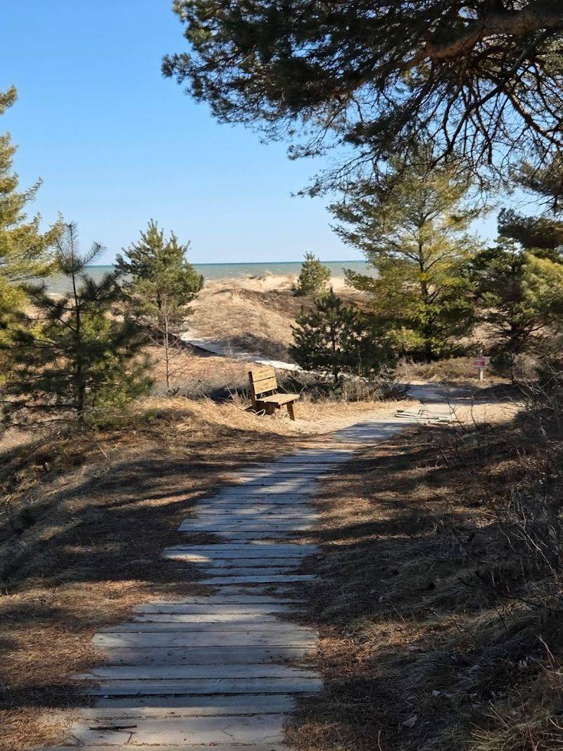 A Hidden Beach You'd Never Expect In A Forest