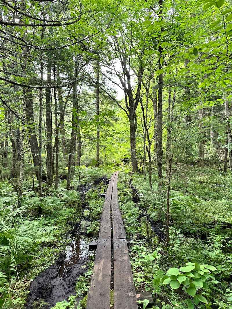 What The Trail Looks Like From The Very First Step