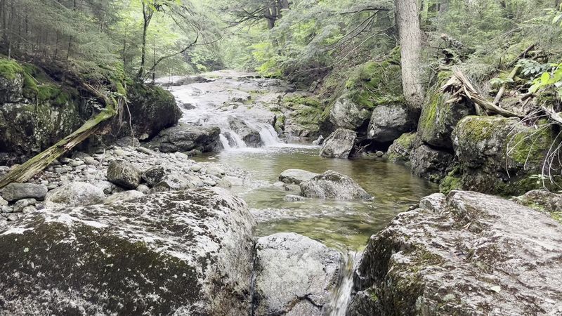 The Gill Brook Trail And Why Experienced Hikers Swear By It