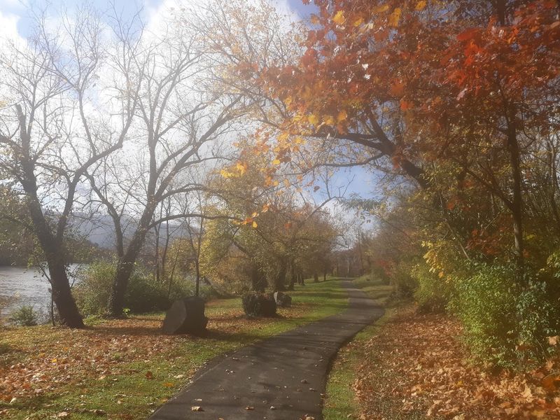 The Full Length Of The Greenbelt And What You Can Expect On A Round Trip