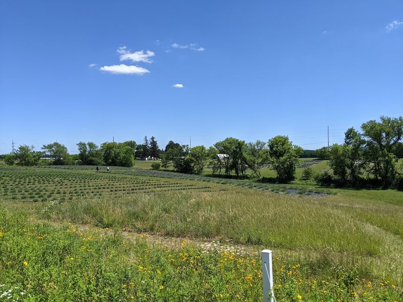 Scenic Views Near Wisconsin Dells Add To The Experience