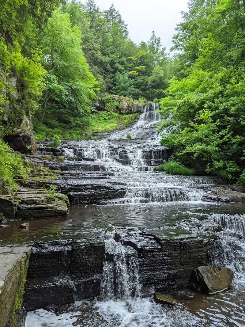 The E.N. Huyck Preserve And What Makes It Unique