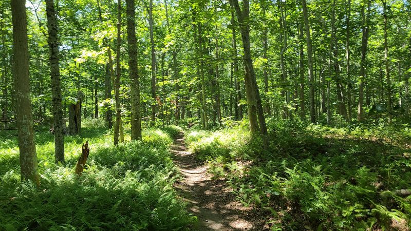 The Trails That Reveal A Different Side Of The Park