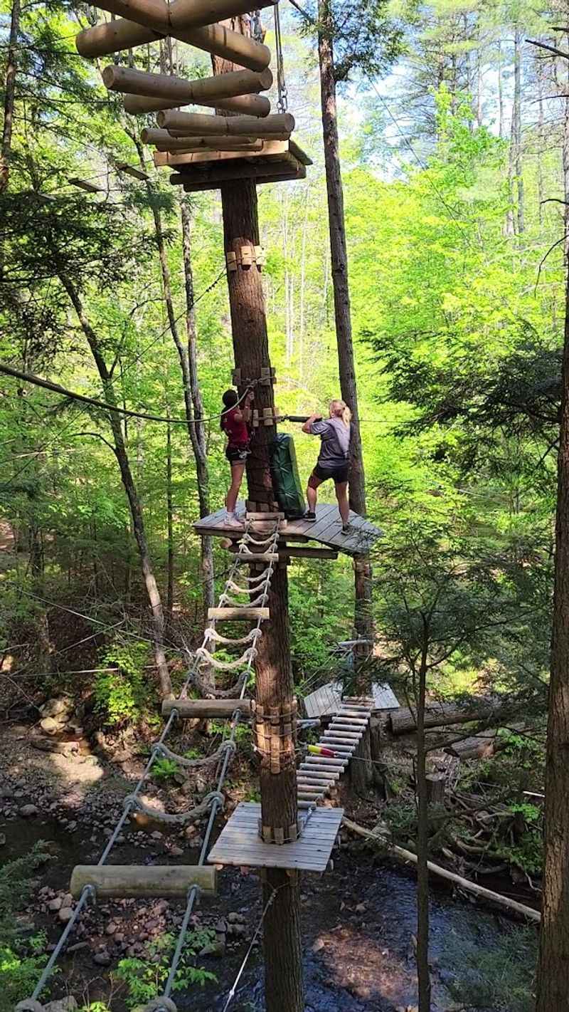 Six Courses That Build From Playful To Genuinely Demanding