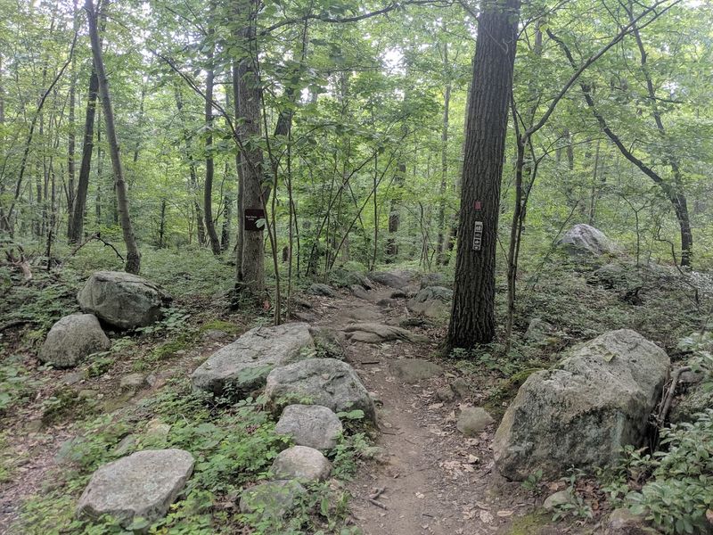 Sterling Forest State Park
