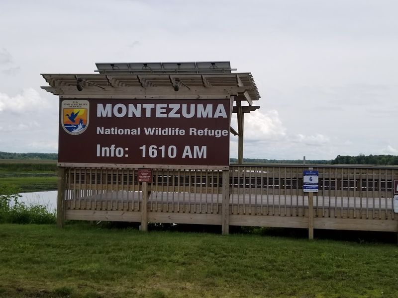 Montezuma National Wildlife Refuge