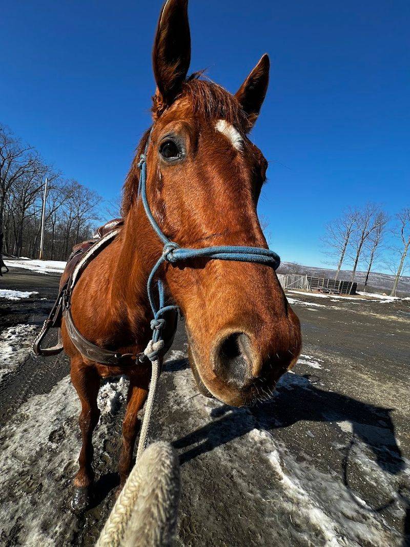 Mountain Valley Farm