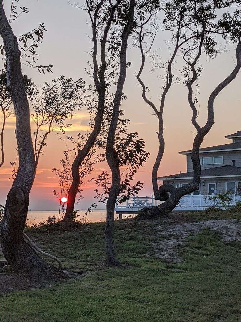 Nature Is Practically At Your Front Door