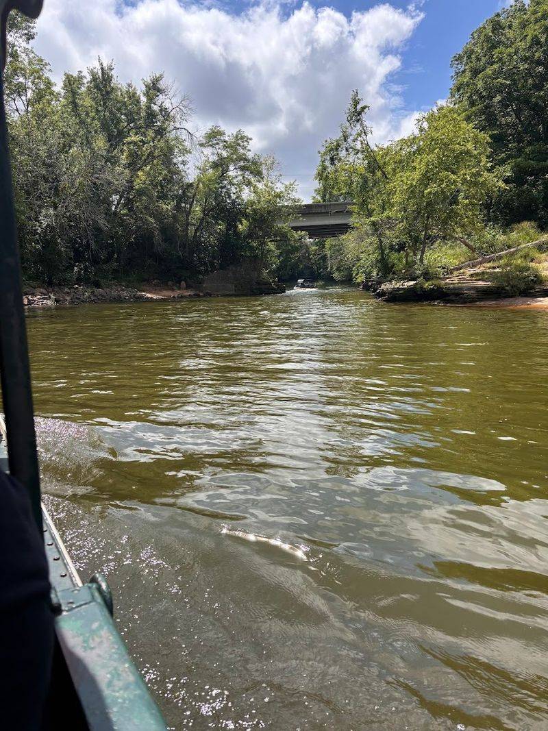 The Exciting Splashdown Moment When The Duck Enters The Water