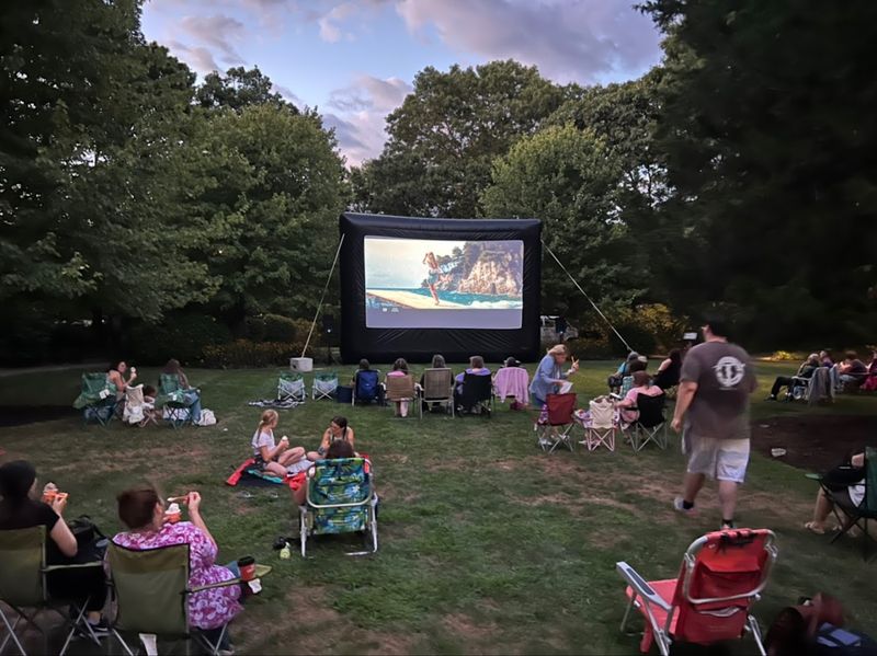 LI Movie Nights: The Company Bringing The Big Screen To Your Backyard