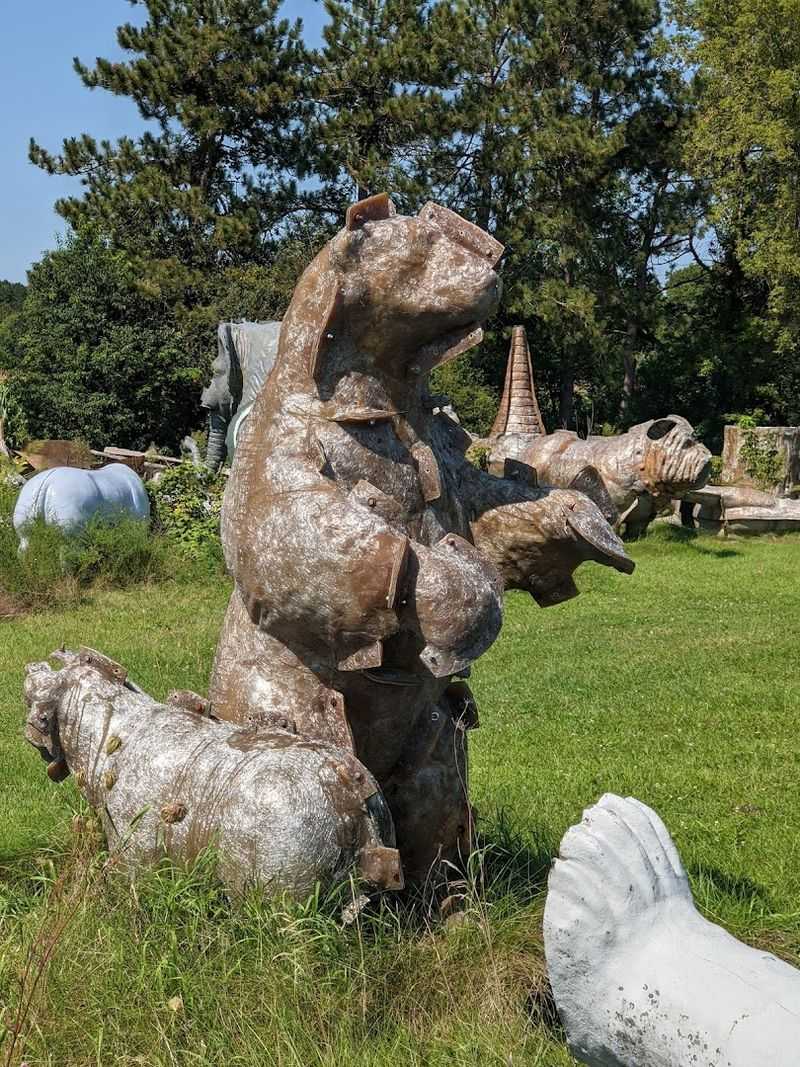 A Spot That Draws Curious Visitors And Photographers