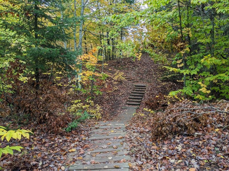 The Red Trail Leads Hikers To The Highest Point In The Park