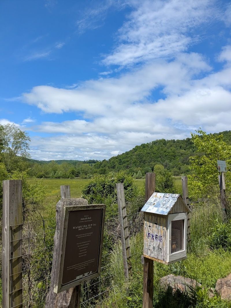 Tips For Safely Exploring Remote Woodlands