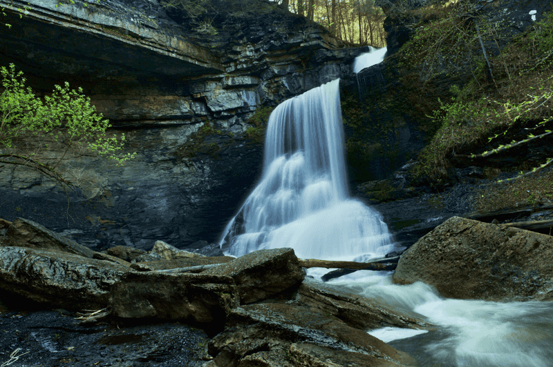 Fillmore Glen State Park