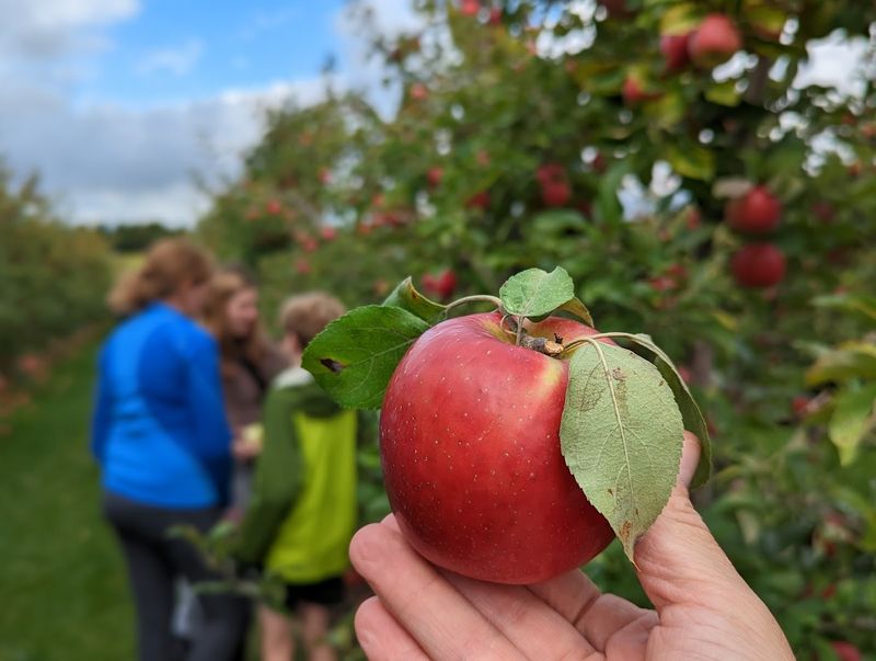 Peck & Bushel Fruit Company (Colgate, WI)