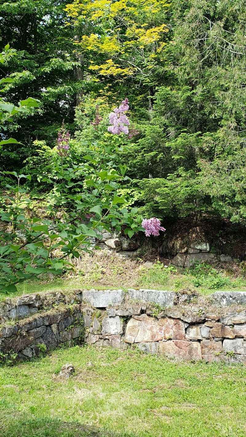 Environmental Impact Of Neglected Communities