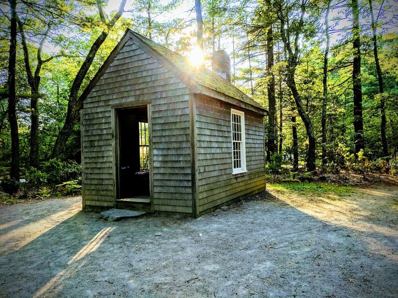 Walden Pond State Reservation