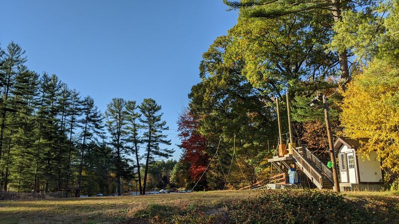 Bringing The Family Along For The Ride