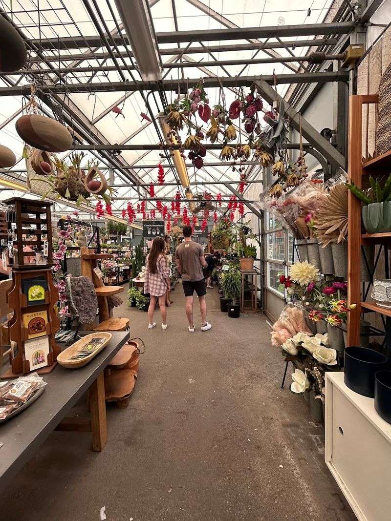 Garden Of Babylon Plant Nursery And Indoor Greenhouse
