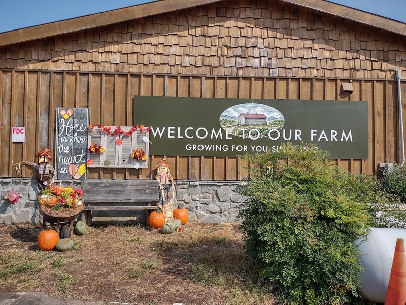 Farm Fresh Ingredients Behind Popular Dishes