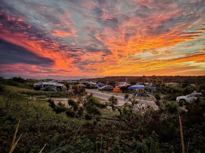 Why Families Keep Coming Back Year After Year