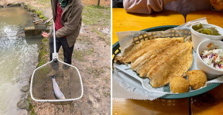 At This Tennessee Spot, You Don’t Just Order Trout, You Fish It Yourself