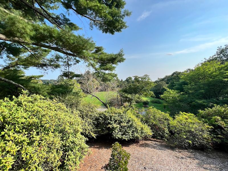 Paths And Trails Designed For Wandering Without A Plan