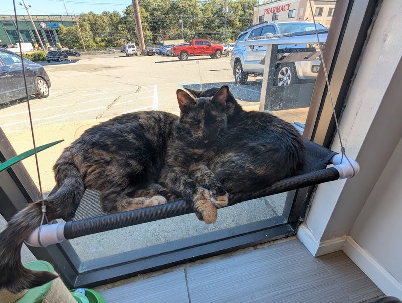 Special Events That Give The Café Extra Life