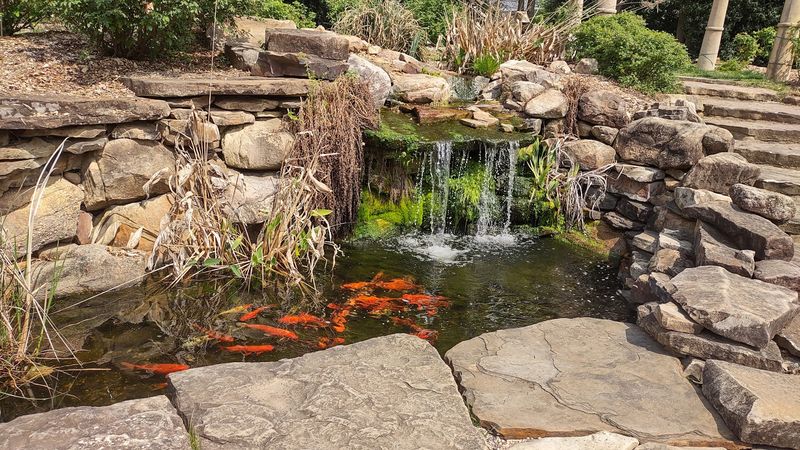 Free Admission That Makes Every Season Worth Visiting