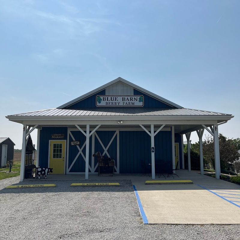 Blue Barn Berry Farm (West Bend, WI)