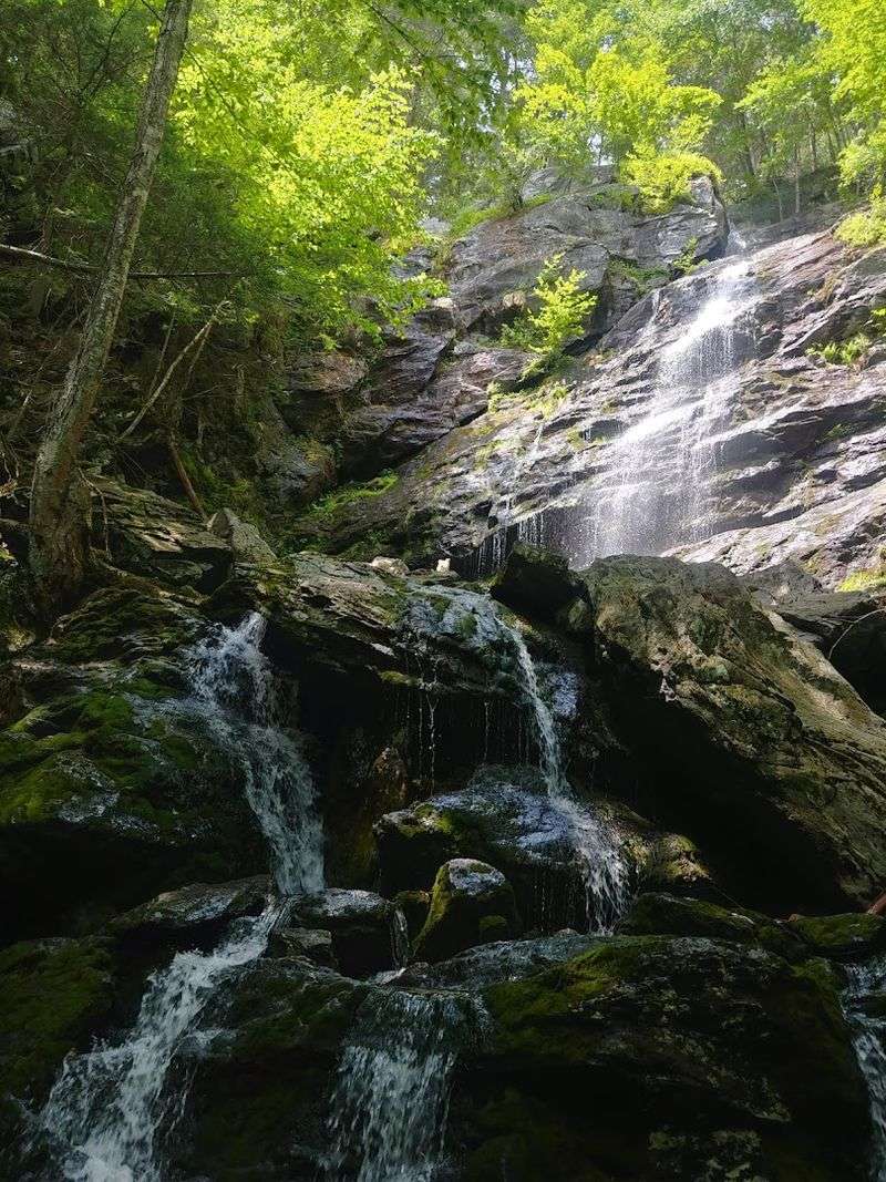 Race Brook Falls, Sheffield