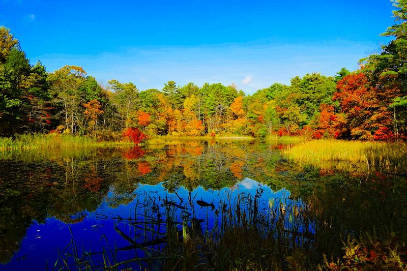 Blue Hills - Skyline Trail, Quincy