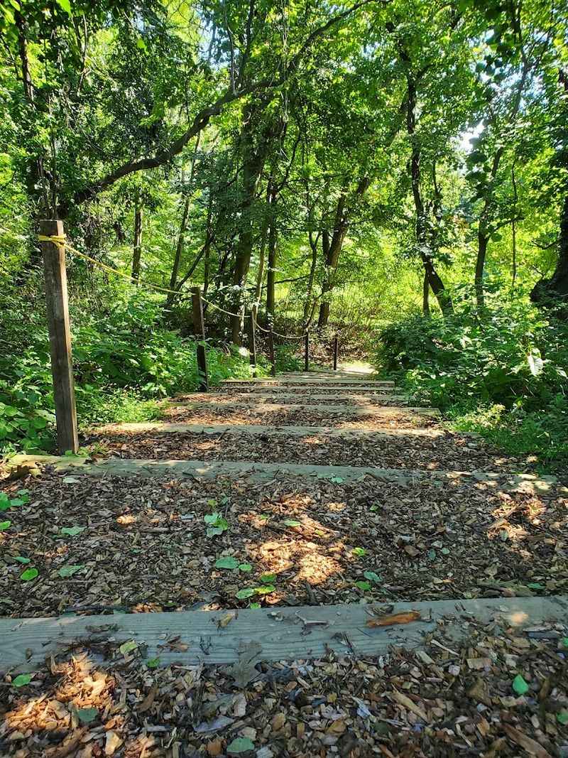 Garvies Point Museum And Preserve