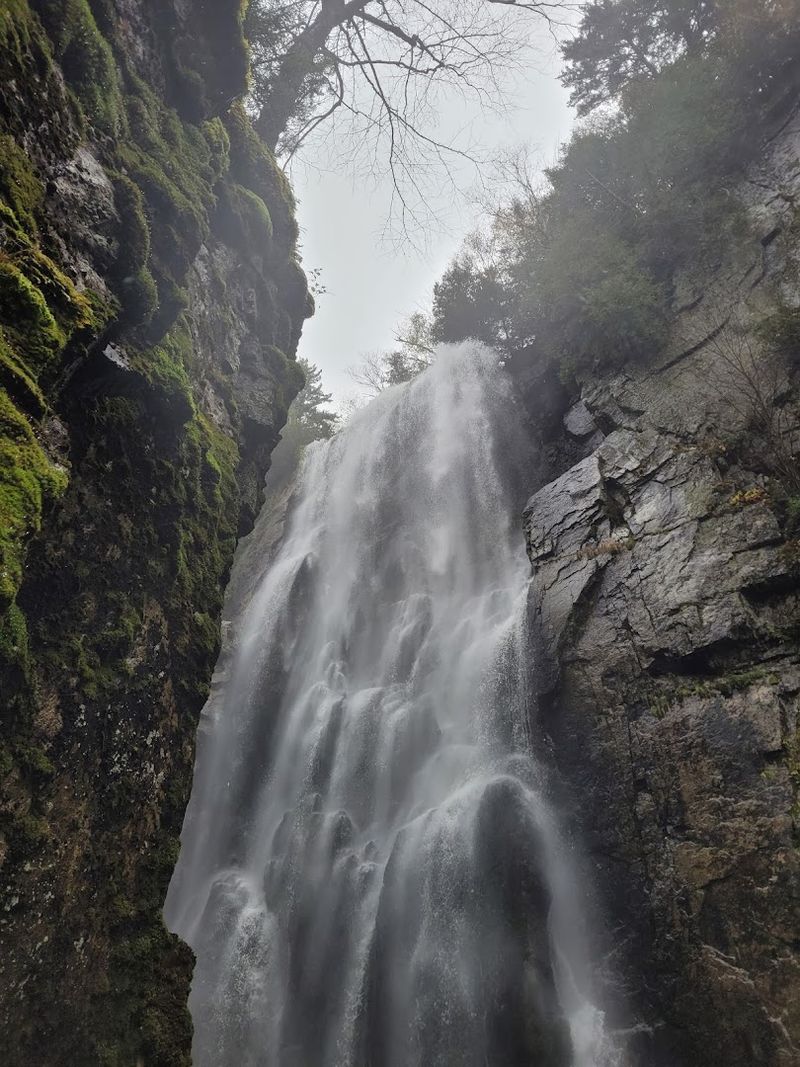 Rainbow Falls And The Moment The Trail Becomes Genuinely Unforgettable