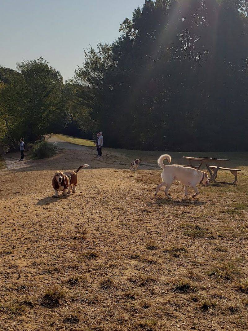 The Welcoming Community Of Dog Owners You Will Actually Enjoy Meeting