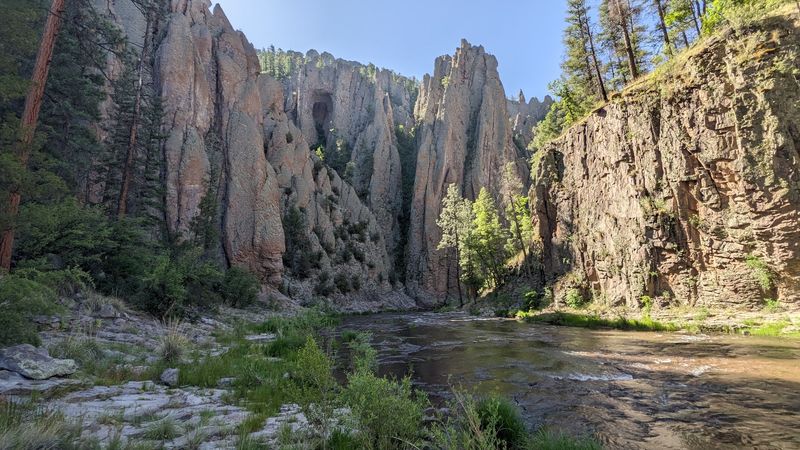 Unique Desert Flora And Fauna To Explore