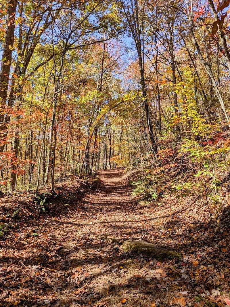 Practical Information About Parking And Trail Access