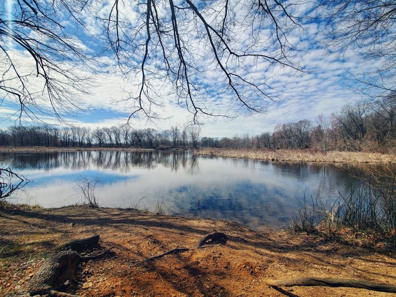 Preserving Natural Wetlands Through Conservation