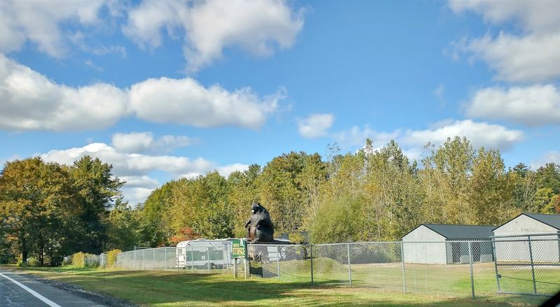 Big Beaver, Lee, Massachusetts